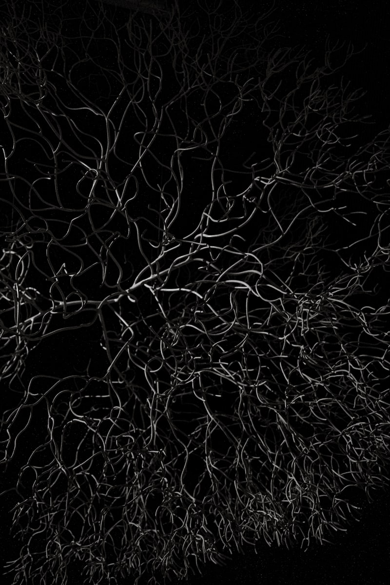 Neural Network